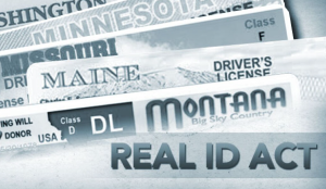 DL Montana