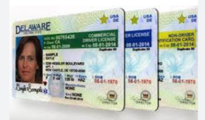 Driver License DELAWARE rev. 08/02/2017